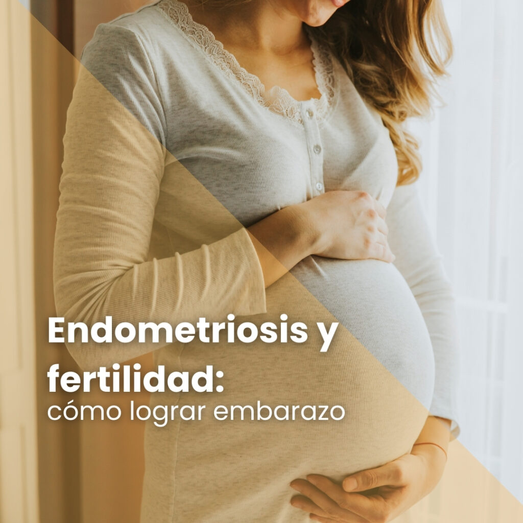 Endometriosis y fertilidad: cómo lograr embarazo