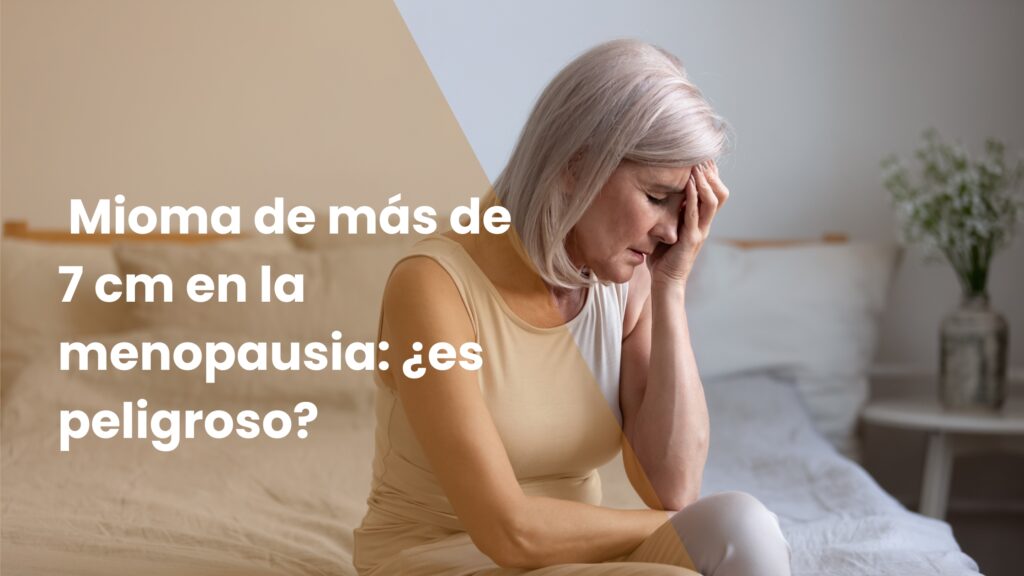 Puedes ponerte en contacto con nosotros aquí.