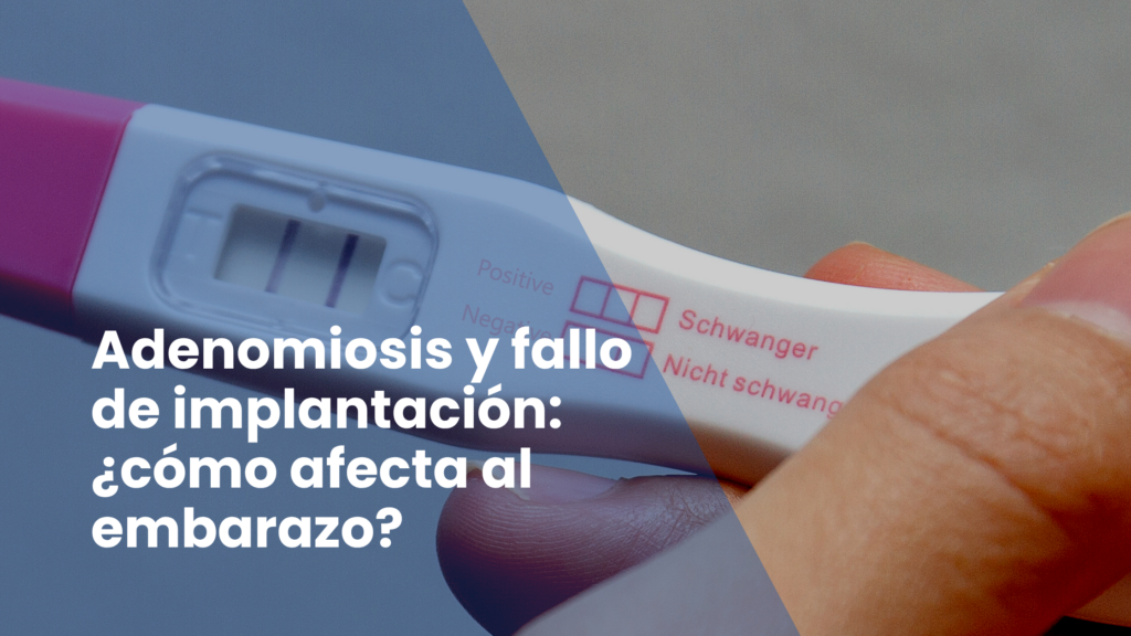 Adenomiosis y fallo de implantación: ¿cómo afecta al embarazo?