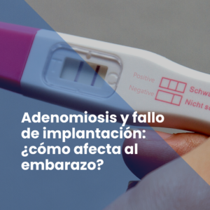 Adenomiosis y fallo de implantación: ¿cómo afecta al embarazo?